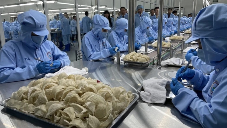 Khánh Hòa chủ động giữ nhịp tăng trưởng trước biến động từ chiến sự Trung Đông